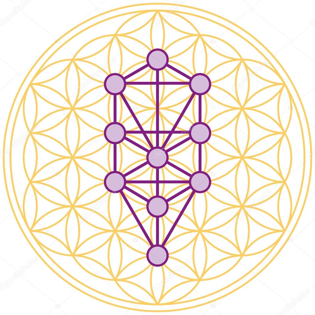 Tree Of Life Fits Perfect In The Flower Of Life
