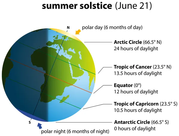 Summer Solstice — Stock Vector