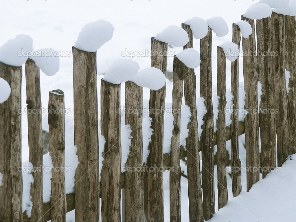 Snow on Fence