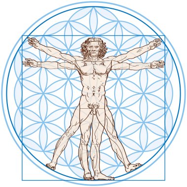 Vitruvius Adamı hayat çiçek
