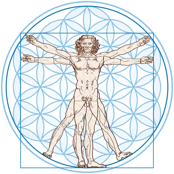 Vitruvius Adamı hayat çiçek