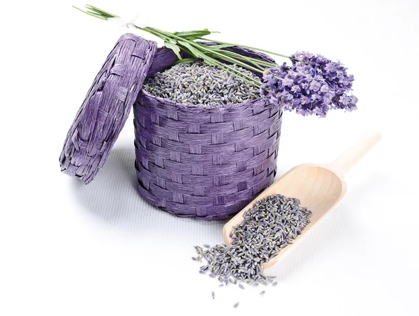 Färska och torkade lavendel blommor — Stockfoto