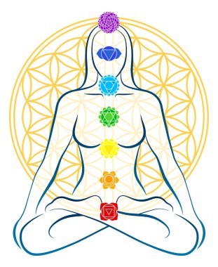 hayat çakralar kadın çiçek