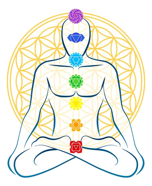 Bunga Kehidupan Chakras Man - Stok Vektor