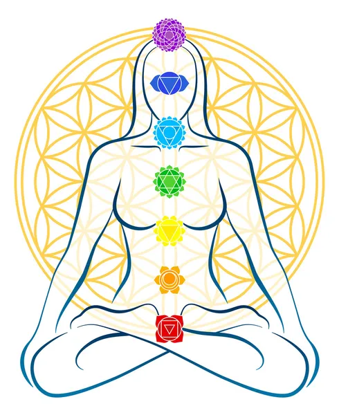 Flower Of Life Chakras Woman — Stock Vector