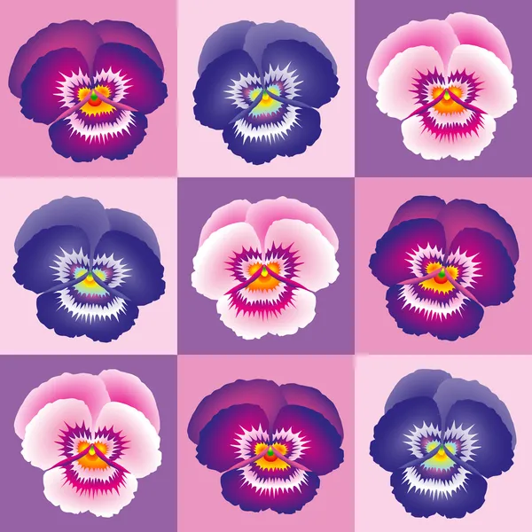 Pansy púrpura — Vector de stock