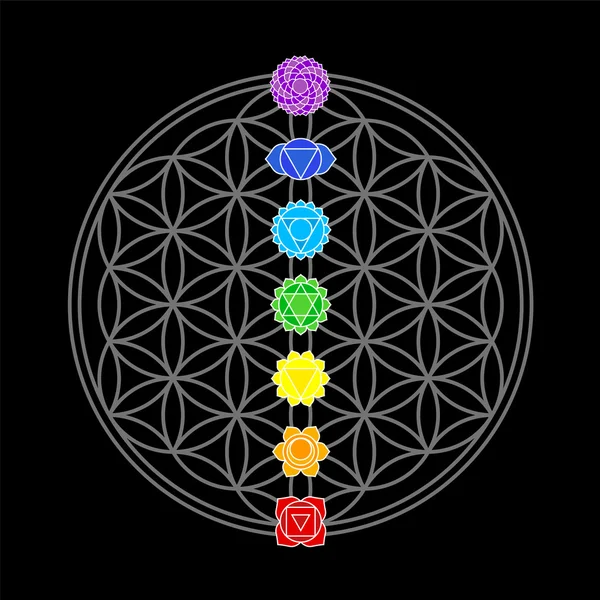 Flower of Life Chakras Black — Stock Vector