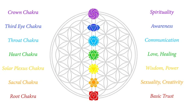 Flor de la Vida Chakras Descripción Blanco — Archivo Imágenes Vectoriales