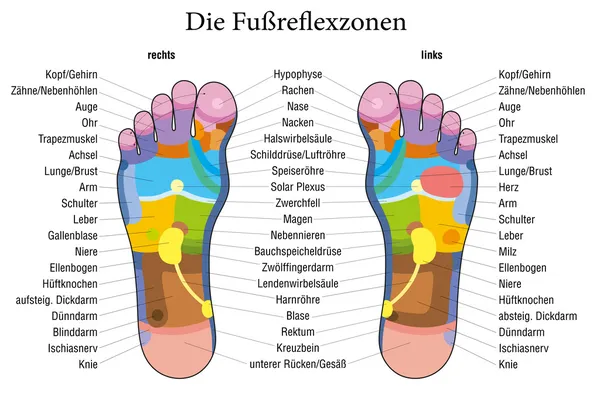 Voet reflexologie grafiek Duitse beschrijving — Stockvector