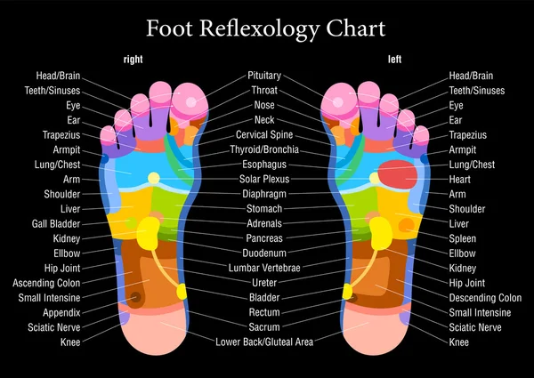ᐈ Acupressure foot chart stock vectors, Royalty Free acupressure illustrations | download on Depositphotos® ᐈ Acupressure foot chart stock vectors, Royalty Free acupressure illustrations | download on Depositphotos®