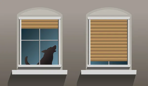 Eenzame huilende hond windows — Stockvector