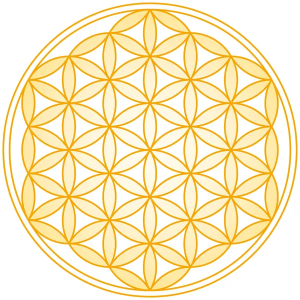 Flower of Life Golden Gradient — Stock Vector