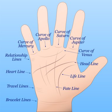 Palmistry Right Hand Blue clipart