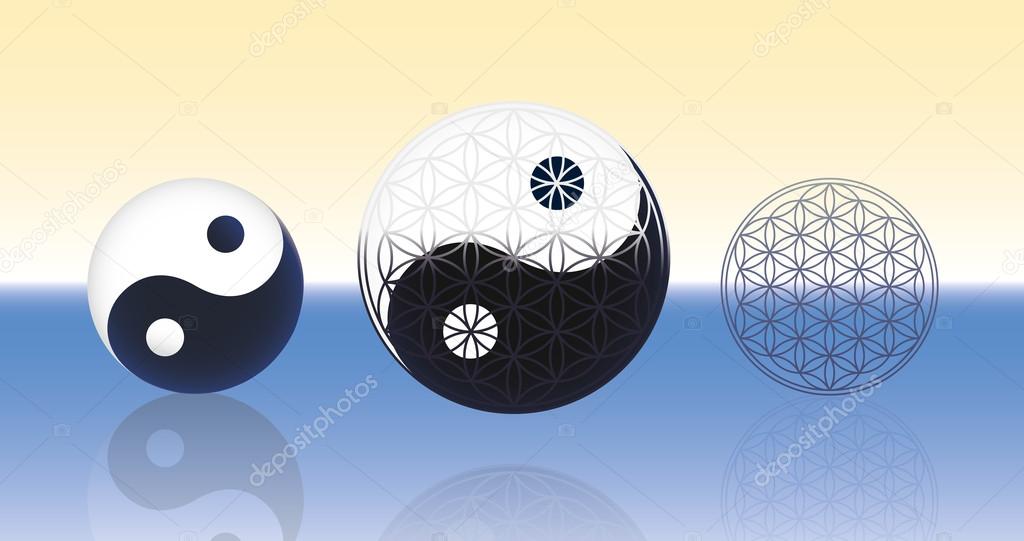 Flower of Life Yin Yang Spheres