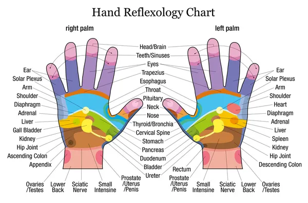 Descrizione del grafico di riflessologia della mano — Vettoriale Stock