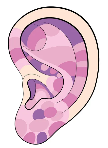 Ear reflexology areas pink — Stock Vector