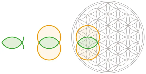 Vesica piscis in de bloem van het leven — Stockvector