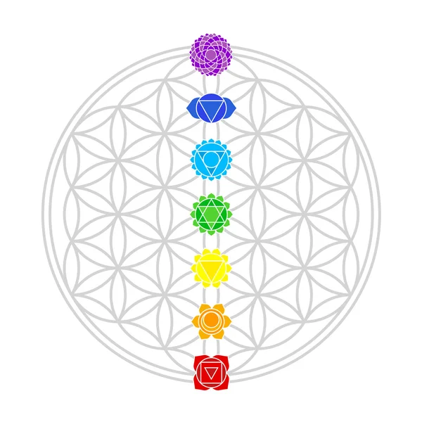 Flower of Life Chakras White — Stock Vector