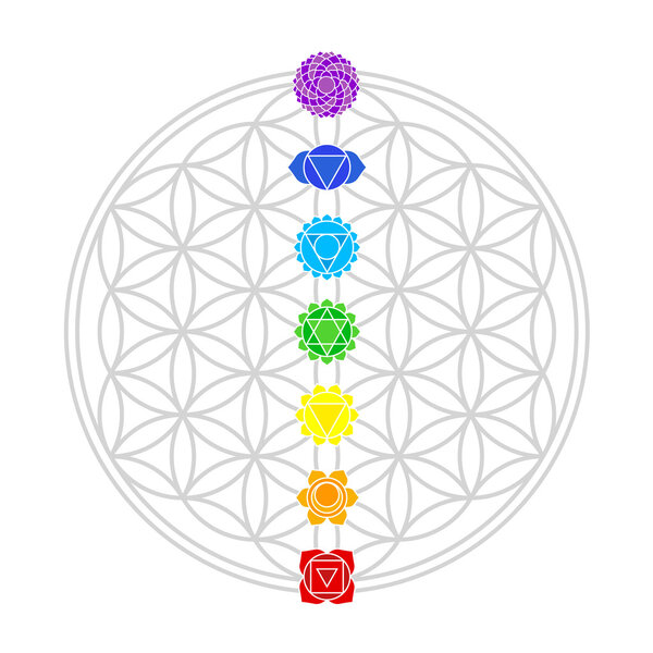 Flower of Life Chakras White