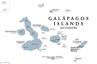 Galapagos Adaları, Ekvador, gri politik harita, başkent Puerto Baquerizo Moreno. Pasifik Okyanusu 'nda ekvatorun iki yakasındaki volkanik adaların takımadaları çok sayıda endemik türlere sahiptir..