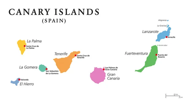 加那利群岛 政治地图 金丝雀La Palma Gomera Hierro Tenerife Gran Canaria Fuerteventura和Lanzarote — 图库矢量图片