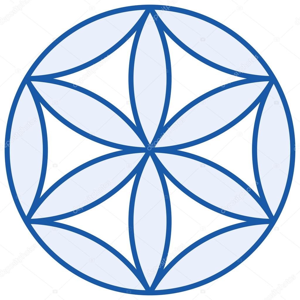 Baby Flower of Life