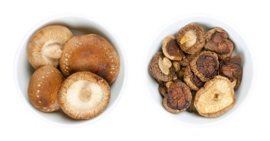 Beyaz kaselerde taze ve kurutulmuş shiitake mantarları. Lentinula edodes, yenebilir mantarlar, Doğu Asya 'ya özgü, geleneksel tıpta da kullanılır. Yakından, yukarıdan, beyaz üzerine izole edilmiş, yemek fotoğrafı..