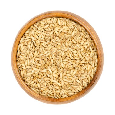 Çiğ gövdesiz yulaf, ahşap bir kasede. Çıplak yulaf olarak bilinen Avena Nuda tohumları. Gövde tahıldan kolayca ayrılıyor. Küçük sarı taneler, taze mısır lapası için tam besin olarak kullanılır..