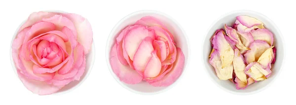 Kwiat Róży Płatki Białych Miskach Świeży Jasnoróżowy Kolorowy Kwiat Głowa — Zdjęcie stockowe