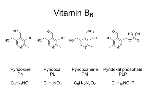 Vitamiini Kemialliset Kaavat Rakenteet Vitamiinin Neljä Tärkeintä Vitamiinia Pyridoksiini Pyridoksaali — vektorikuva