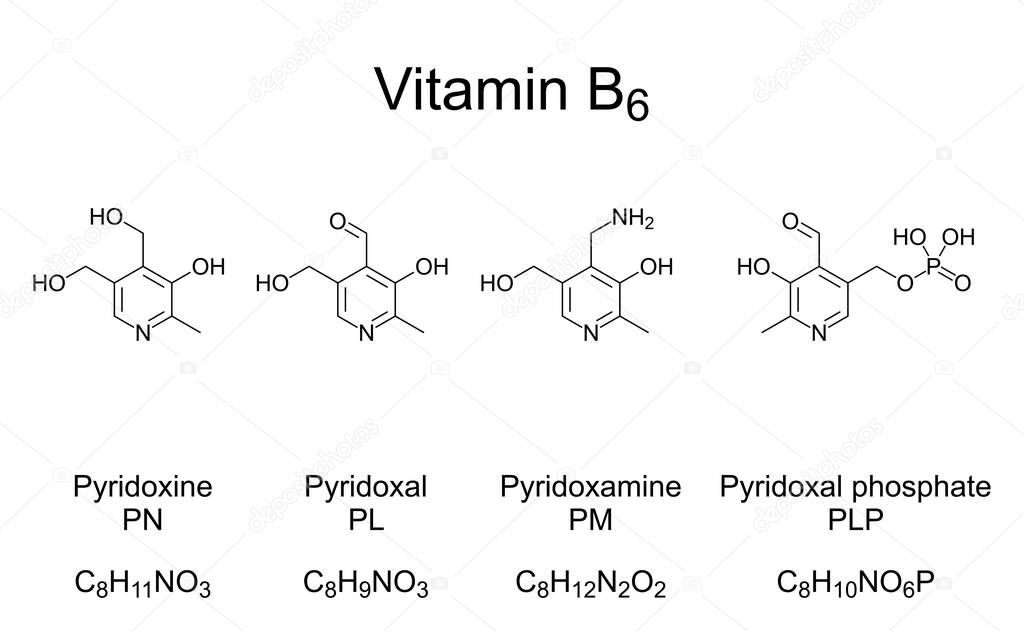 Vitamin B6, chemical formulas and structures. The four most important vitamers of vitamin B6. Pyridoxine, Pyridoxal and Pyridoxamine, and the active form pyridoxal phosphate, serving as a coenzyme.