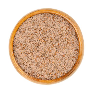 Tüm psyllium tohumları, ahşap bir kasede. Bitki yumurtası, sarışın muz, çöl buğdayı, sarışın psyllium ve ispagol olarak bilinir. Psyllium 'un ortak kaynağı, diyet lifinin bir çeşidi ve yiyecek kalınlaştırıcısıdır..