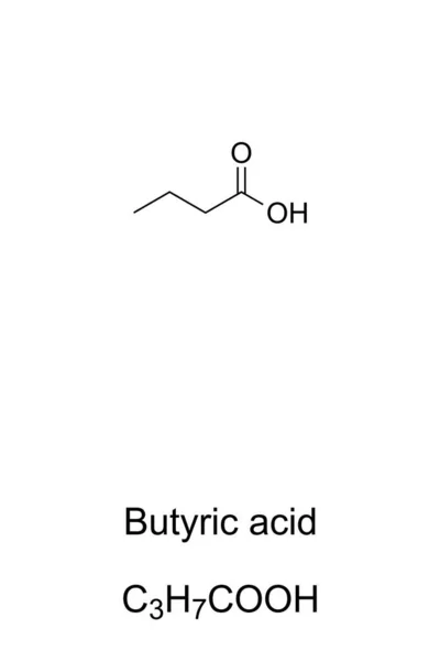 Ácido Butírico También Conocido Como Ácido Butanoico Fórmula Química Estructura — Archivo Imágenes Vectoriales
