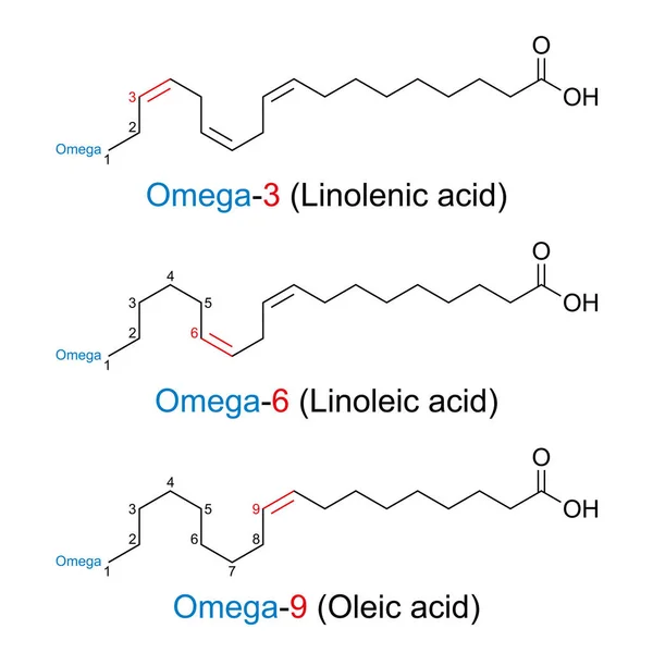 Kwasy Tłuszczowe Omega Struktury Chemiczne Pozycję Pierwszego Podwójnego Wiązania Kwasu — Wektor stockowy