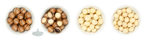 Macadamia Nuts White Bowls Dried Fruits Sawn Nutshells Opened Opener — Stock Photo, Image