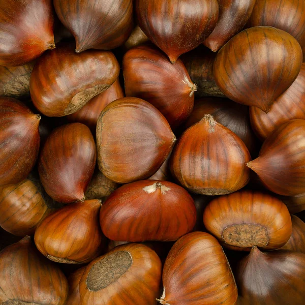 Chestnuts Surface Background Edible Nuts Sweet Chestnut Castanea Sativa Can — Stock Photo, Image