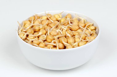 Nohut filizleri, beyaz bir kasede, beyaz yüzeyin önünde. Yemeye hazır, filizlenmiş nohut, Cicer arietinum tohumu, bir bakla ve protein kaynağı, civciv ya da garbanzo fasulyesi olarak bilinen ve gram olarak bilinen.