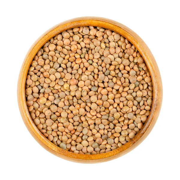 Brown Lentils Wooden Bowl Mountain Lentils Lens Culinaris Lens Esculenta — Stock Photo, Image