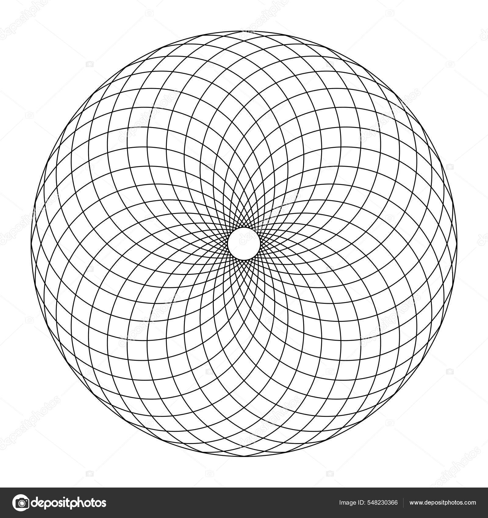 Circular Fibonacci Pattern According Structure Pine Cone Circular Area ...