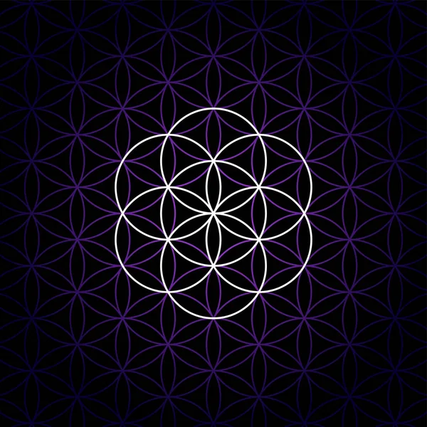 黒い背景の上に 生命のパターンの濃い紫色の花に生命の白い種子 六角形の輪が花弁の模様を生み出します 神聖幾何学の幾何学的図形と精神的なシンボル — ストックベクタ