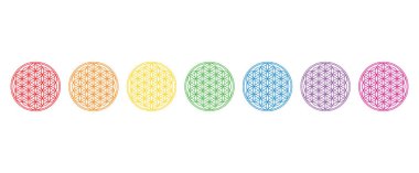 Yedi gökkuşağı renkli yaşam çiçekleri. Geometrik figürler ve kutsal geometrinin antik ruhani sembolleri. Üst üste binen daireler mandalalar ve çiçek benzeri simetrik desenler oluşturuyor. Görüntü.