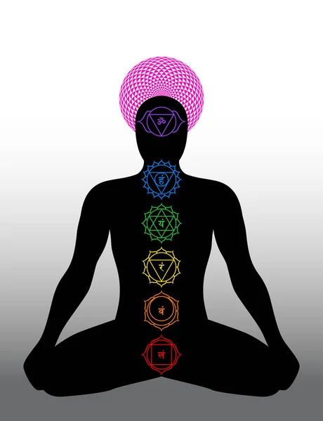 Main Chakras Rainbow Colored Meditating Body Silhouette Yoga Position Multicolor — Stock Vector