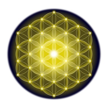 Altın Hayat Çiçeği, siyah bir daire şeklinde arka planda. Geometrik figür ve Kutsal Geometrinin antik ruhani sembolü. Üst üste binen daireler mandala ve çiçek benzeri simetrik desen oluşturuyor..