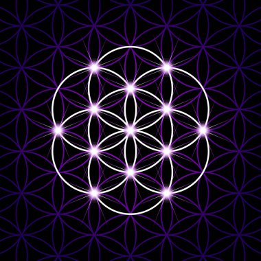 Yaşam Tohumu, siyah bir arkaplanda mor bir hayat deseni içinde yıldızlar. Altıgen düzenlenmiş çemberler çiçek yaprağı deseni oluşturur. Kutsal Geometrinin geometrik figürü ve ruhani sembolü.