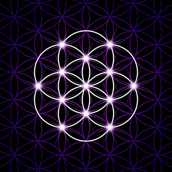 種の生命の紫色の花のパターンで星と 黒の背景に 六角形の輪が花弁の模様を生み出します 神聖幾何学の幾何学的図形と精神的なシンボル — ストックベクタ