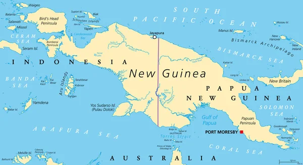 Nueva Guinea Mapa Político Isla Más Grande Del Mundo Ubicada — Vector de stock