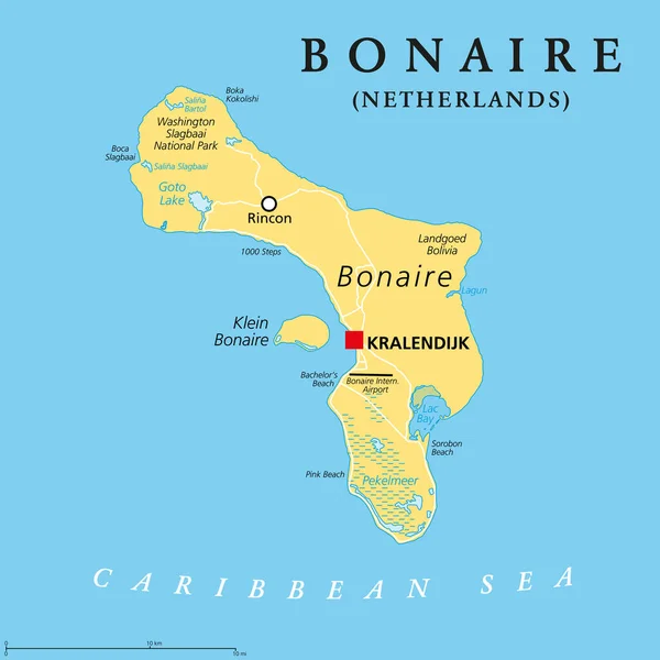 荷兰博内尔 政治地图 位于加勒比海背风安的列斯群岛的一个岛屿 首府克拉伦迪克 位于委内瑞拉海岸外的Abc群岛的一部分 在飓风艾黎之外 — 图库矢量图片