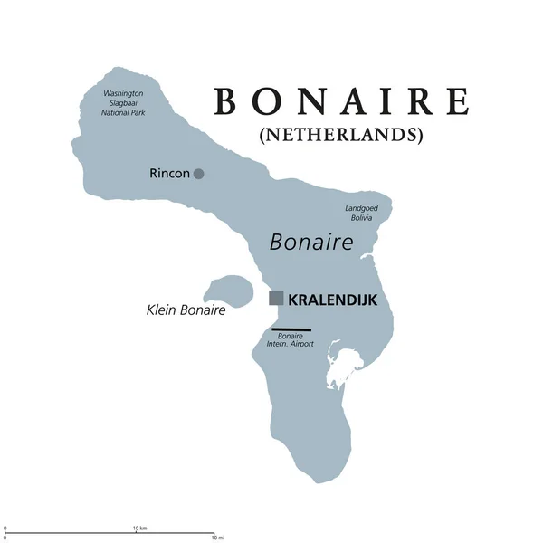 Bonaire Países Bajos Mapa Político Gris Isla Las Antillas Sotavento — Archivo Imágenes Vectoriales