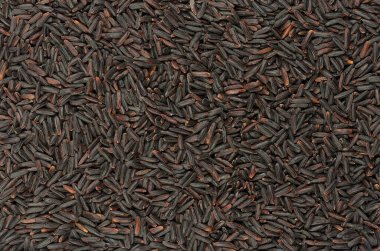 Böğürtlenli pirinç taneleri, arka plan ve yüzey. Tayland 'dan melez pirinç çeşitleri, yumuşak, koyu mor taneli pirinç taneleri, geleneksel siyah pirinçten farklıdır, esmer pirincin yerine geçer..