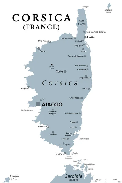 コルシカ 灰色の政治地図 地中海のフランスの島 イタリアの島サルデーニャ島の北 首都アジャッチョと フランスの18の地域の一つとフランスの領土のコレクション — ストックベクタ